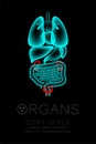 Male Organs X-ray set, Kidney and Bladder infection concept idea