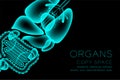 Male Organs X-ray set, Normal concept idea illustration isolated