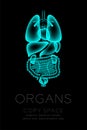 Male Organs X-ray set, Normal concept idea illustration isolated Royalty Free Stock Photo