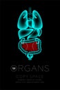 Male Organs X-ray set, Small Intestine infection concept idea