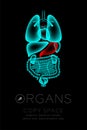 Male Organs X-ray set, Stomach infection concept idea red color