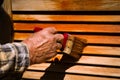 Man holding brush to paint maltese window. Close up. Work concepr