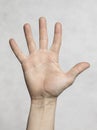 Male palm hand Royalty Free Stock Photo