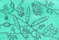 Fungus Trichophyton mentagrophytes, hand-drawn illustration