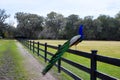 Male Peacock Royalty Free Stock Photo