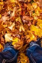 A male person with black sneakers and jeans standing deep in colorfull leaves on the ground