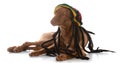 Male pharoah hound wearing rastafarian wig