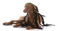 Male pharoah hound wearing rastafarian wig