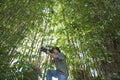 Male Photographer In Bamboo Forest