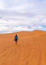 Male photographer with flynet walking across a sand dune Royalty Free Stock Photo