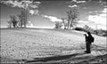 A male photographer taking photos on the sand dune Royalty Free Stock Photo