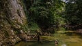 Male photographer taking photos of wild animals in the river tropical jungle forest in Gunung Mulu National park. Sarawak. Royalty Free Stock Photo