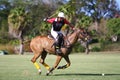 Male Polo Player Royalty Free Stock Photo