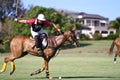 Male Polo Player Royalty Free Stock Photo