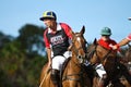 Male Polo Player Royalty Free Stock Photo