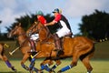 Male Polo Player Royalty Free Stock Photo