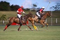 Male Polo Player