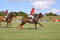 Male Polo Player Royalty Free Stock Photo