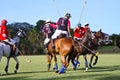 Male Polo Player Royalty Free Stock Photo