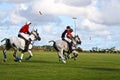 Male Polo Player Royalty Free Stock Photo