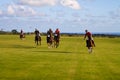 Male Polo Player Royalty Free Stock Photo