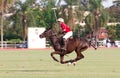 Male polo player
