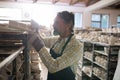 Male potter placing craft product on shelf