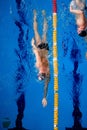 male professional competitive swimmer in swimming pool Royalty Free Stock Photo