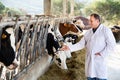 Male quality expert is standing in uniform and checking the quality of milk at the farm.