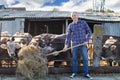 Male rancher in a farm Royalty Free Stock Photo