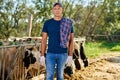 Male rancher in a farm cows. Royalty Free Stock Photo