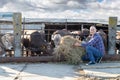 Male rancher in a farm Royalty Free Stock Photo