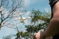 Male with a remote controller flying a white drone with a background of trees Royalty Free Stock Photo