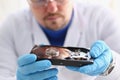 Male repairman wearing blue gloves is holding a hard drive Royalty Free Stock Photo