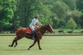 Male riding on his horse while playing of Polo in Bicester, United Kingdom