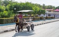 Male riding in a horse cart in a street of Santiago de Cuba