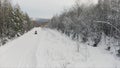 Male riding snowmobile, moving fast towards camera. Clip. Aerial view of a winter snow covered pine forest and empty Royalty Free Stock Photo