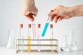 Male`s hands holding chemistry lab`s test tubes, putting them back in the tube holders Royalty Free Stock Photo