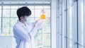 Male scientist looking at flask with blue liquid Royalty Free Stock Photo