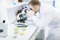 Male scientist studying green vegetables under microscope