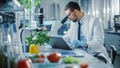 Male Scientist Working on a Laptop Computer and Analyzing a Lab-Grown Tomato Through a Microscope. Royalty Free Stock Photo