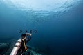 Male scuba diver taking a photo school of Barracuda fish Royalty Free Stock Photo