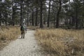 Male senior hiker wearing a backpack