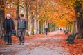 Male seniors walking on a treelined path in Greenwich park during autumn season