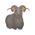 Flat vector icon of lying male sheep. Ram with gray wool and long curved horns. Domestic animal. Livestock farming