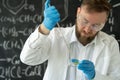 Male sientist dropping pipette a sample into a Petri dish with green plant in laboratory, Biotechnology Royalty Free Stock Photo