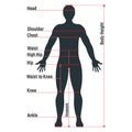 Male size chart anatomy human character, people dummy front and view side body silhouette, isolated on white, flat vector Royalty Free Stock Photo