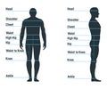 Male size chart anatomy human character, people dummy front and view side body silhouette, isolated on white, flat vector