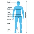 Male size chart anatomy human character, people dummy front and view side body silhouette, isolated on white, flat vector Royalty Free Stock Photo