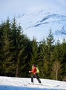 Male skier on skis on background of spruce trees and snowy mountain peak on frosty sunny winter day. Royalty Free Stock Photo
